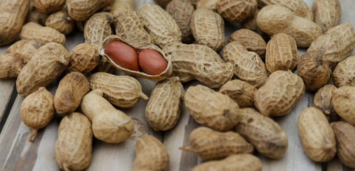 Cek Kesehatan Rutin dan Hubungannya dengan Produktivitas Kerja